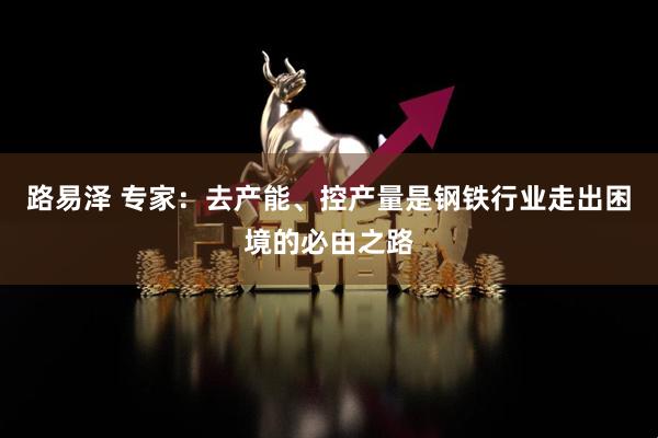 路易泽 专家：去产能、控产量是钢铁行业走出困境的必由之路