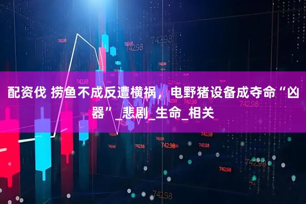 配资伐 捞鱼不成反遭横祸，电野猪设备成夺命“凶器”_悲剧_生命_相关