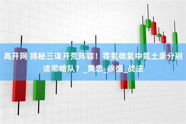 高开网 揭秘三谋开荒阵容！零氪微氪中氪土豪分别该带啥队？_黄忠_徐盛_战法
