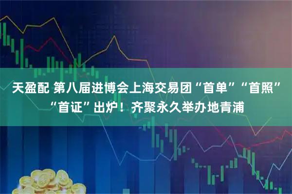 天盈配 第八届进博会上海交易团“首单”“首照”“首证”出炉！齐聚永久举办地青浦