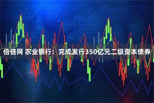 倍倍网 农业银行：完成发行350亿元二级资本债券