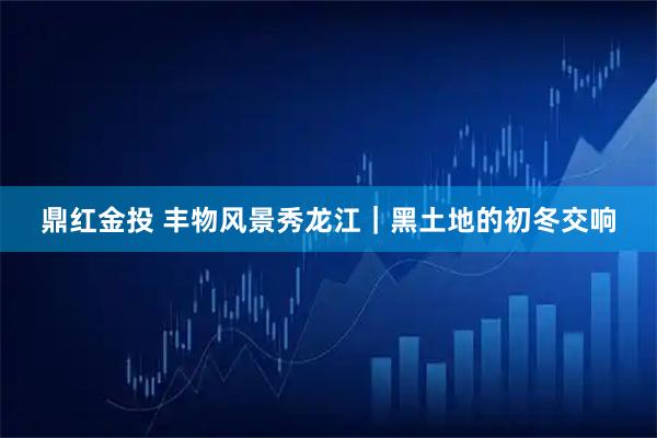鼎红金投 丰物风景秀龙江｜黑土地的初冬交响