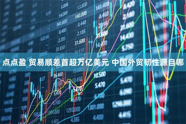 点点盈 贸易顺差首超万亿美元 中国外贸韧性源自哪