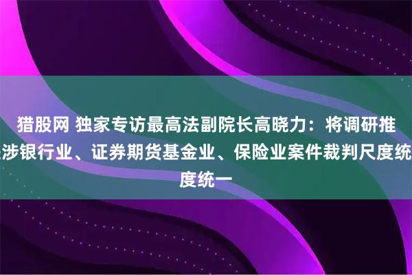 猎股网 独家专访最高法副院长高晓力:将调研推进涉银行业、证券期货基金业、保险业案件裁判尺度统一